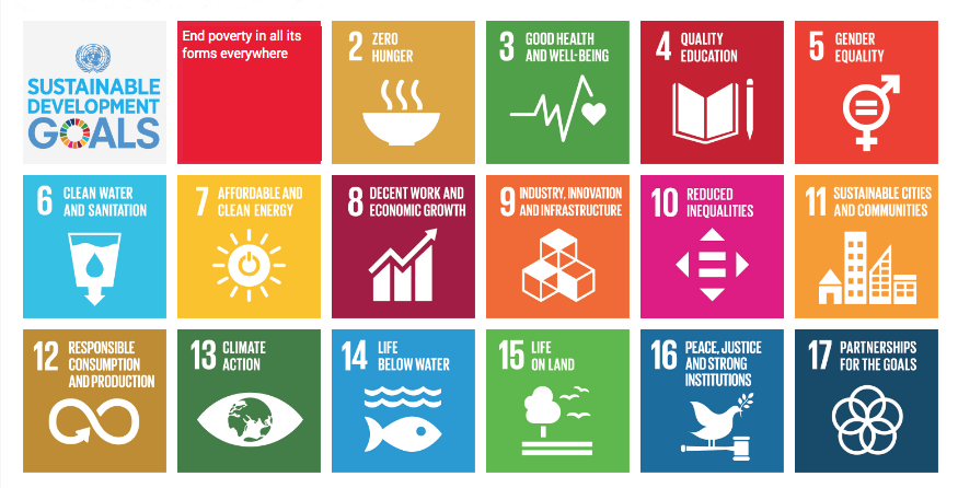 TurkStat Announces Sustainable Development Indicators 2010-2018 Report