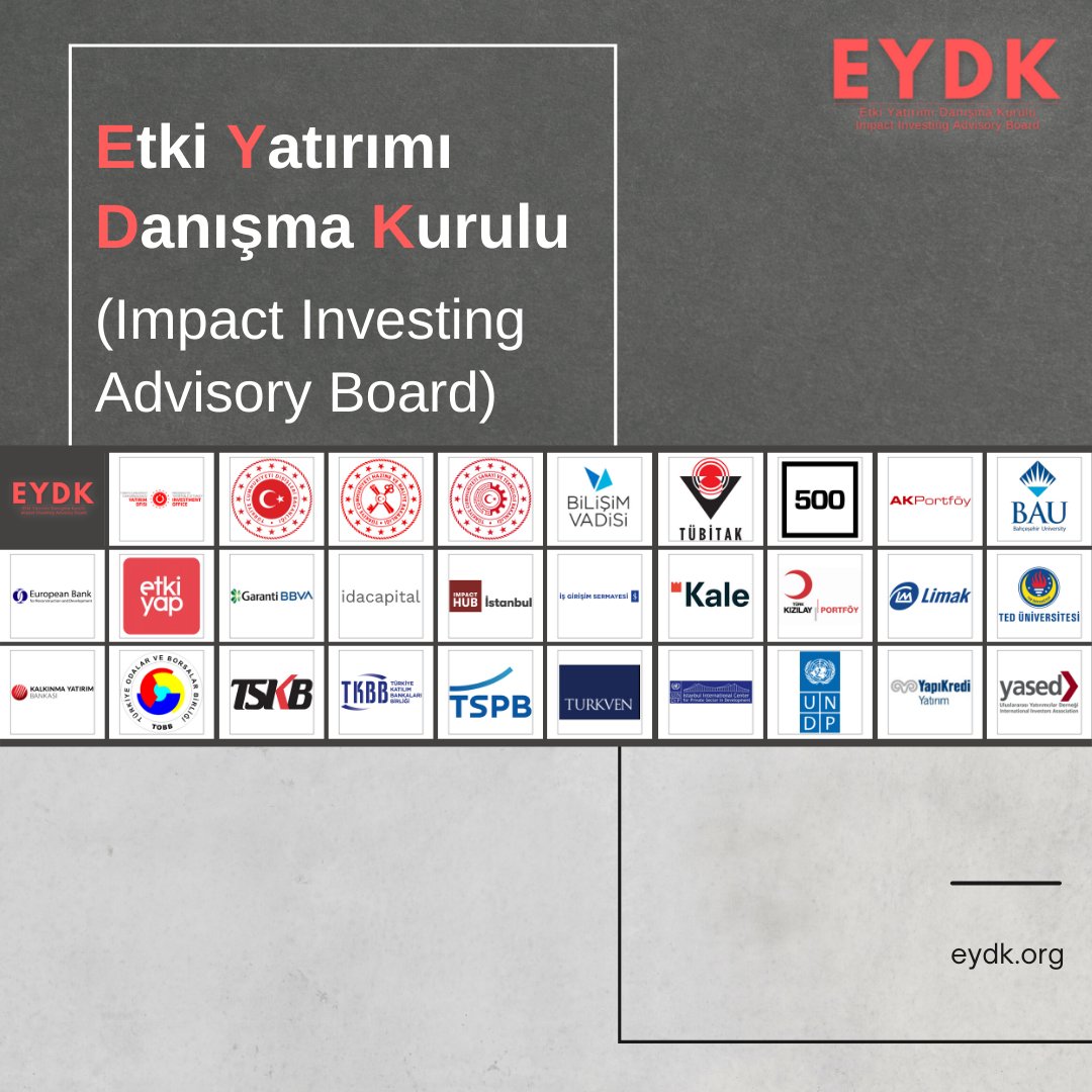 Türkiye Positions Itself in the League of Impact Investments