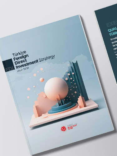 Türkiye Foreign Direct Investment (FDI) Strategy (2024–2028) Released!