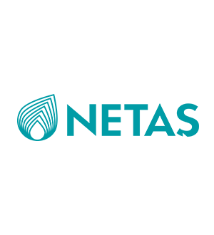 Netaş