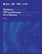 Türkiye's FDI Landscape at a Glance 2025