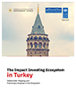 The Impact Investing Ecosystem in Türkiye